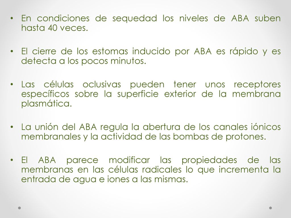 En condiciones de sequedad los niveles de ABA suben hasta 40 veces.