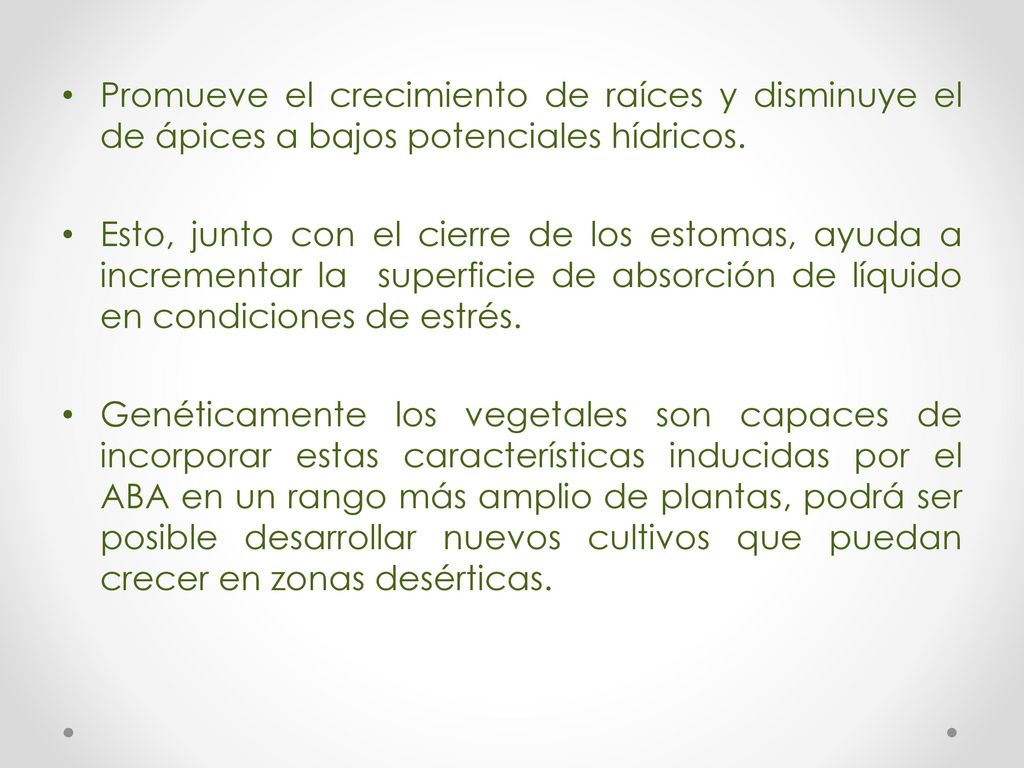 Promueve el crecimiento de raíces y disminuye el de ápices a bajos potenciales hídricos.
