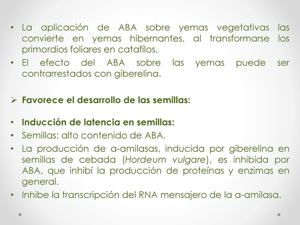 La aplicación de ABA sobre yemas vegetativas las convierte en yemas hibernantes, al transformarse los primordios foliares en catafilos.