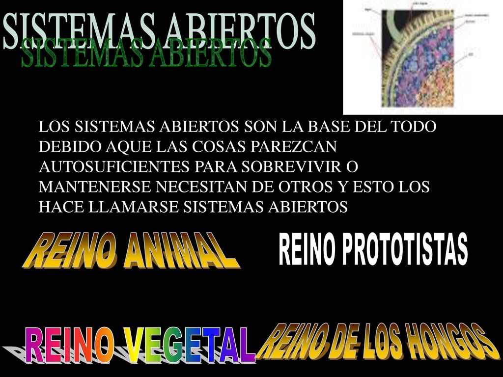 SISTEMAS ABIERTOS REINO ANIMAL REINO PROTOTISTAS REINO DE LOS HONGOS