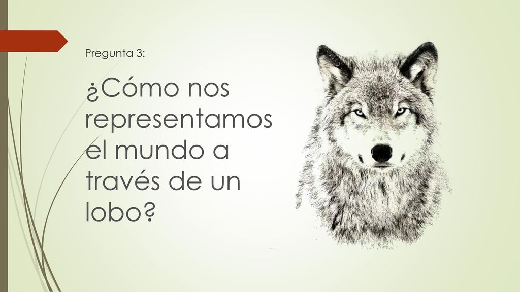 ¿Cómo nos representamos el mundo a través de un lobo