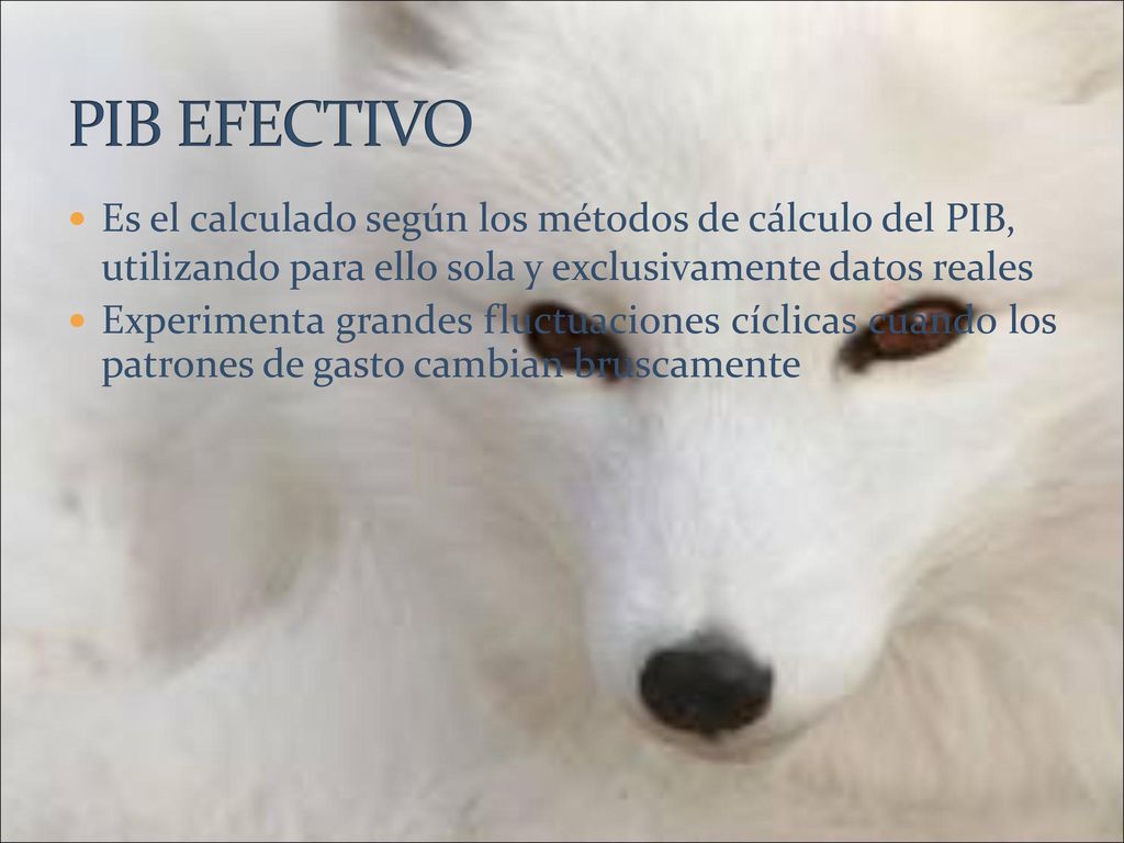PIB EFECTIVO Es el calculado según los métodos de cálculo del PIB, utilizando para ello sola y exclusivamente datos reales.