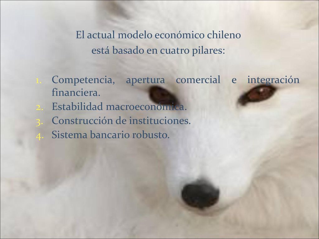 El actual modelo económico chileno está basado en cuatro pilares: