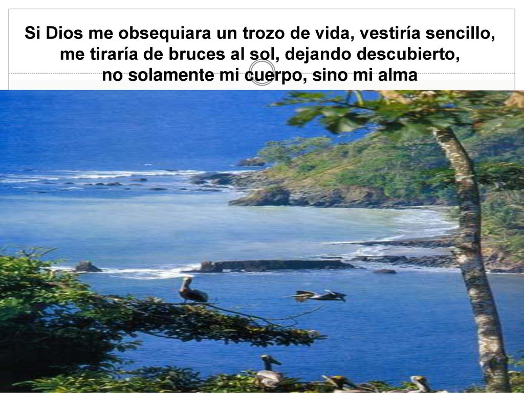 Si Dios me obsequiara un trozo de vida, vestiría sencillo,
