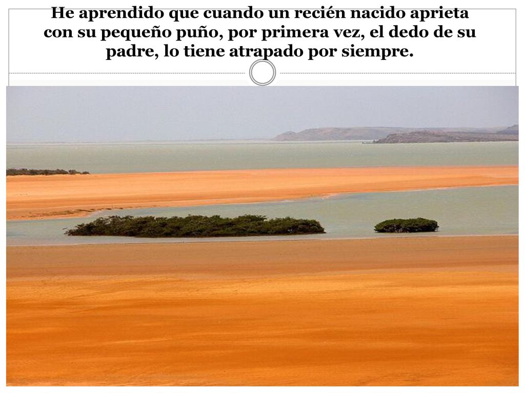 He aprendido que cuando un recién nacido aprieta con su pequeño puño, por primera vez, el dedo de su padre, lo tiene atrapado por siempre.