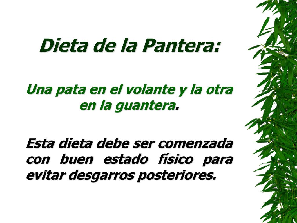 Una pata en el volante y la otra en la guantera.