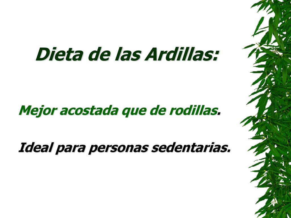 Dieta de las Ardillas: Mejor acostada que de rodillas.