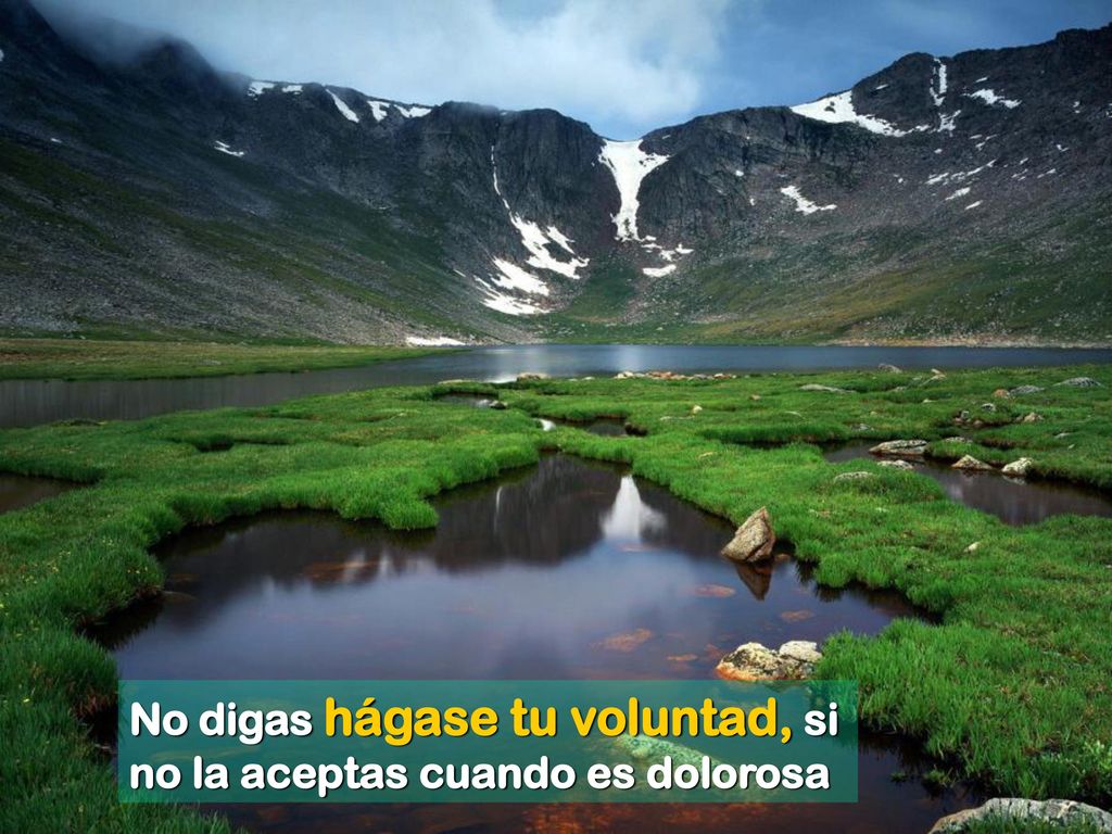 No digas hágase tu voluntad, si no la aceptas cuando es dolorosa