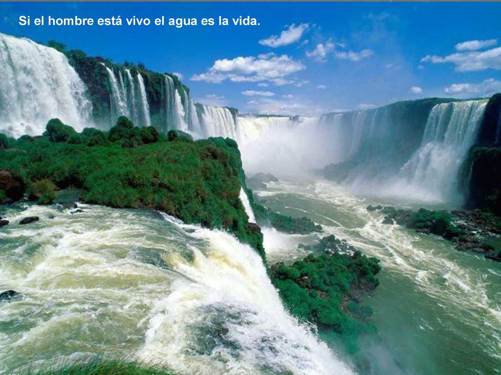 Si el hombre está vivo el agua es la vida.