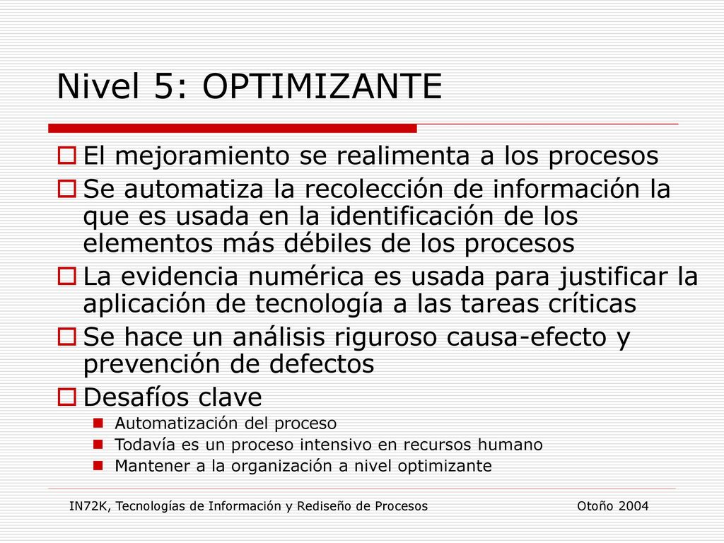 IN72K, Tecnologías de Información y Rediseño de Procesos Otoño 2004