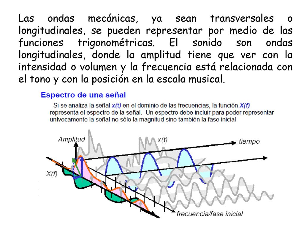 Las ondas mecánicas, ya sean transversales o longitudinales, se pueden representar por medio de las funciones trigonométricas.