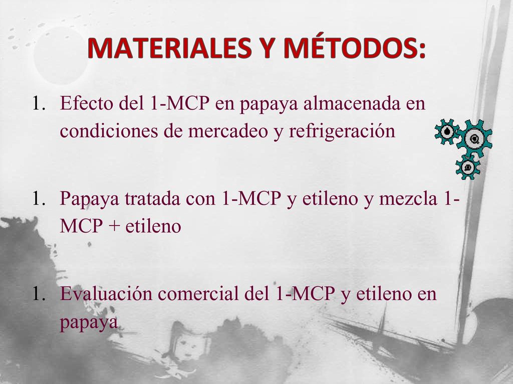 MATERIALES Y MÉTODOS: Efecto del 1-MCP en papaya almacenada en condiciones de mercadeo y refrigeración.