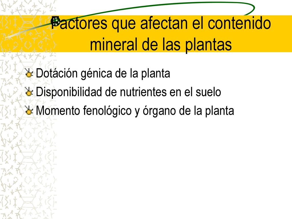 Factores que afectan el contenido mineral de las plantas