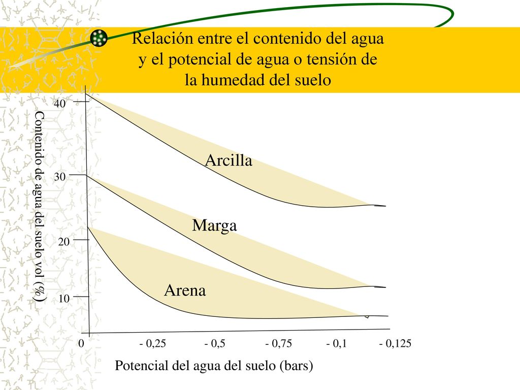 Relación entre el contenido del agua y el potencial de agua o tensión de la humedad del suelo