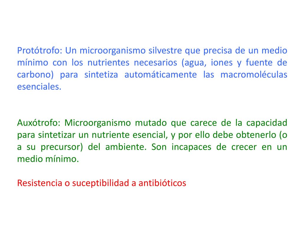 Protótrofo: Un microorganismo silvestre que precisa de un medio mínimo con los nutrientes necesarios (agua, iones y fuente de carbono) para sintetiza automáticamente las macromoléculas esenciales.