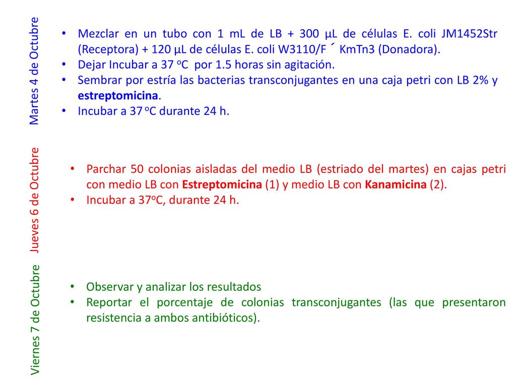 Mezclar en un tubo con 1 mL de LB μL de células E