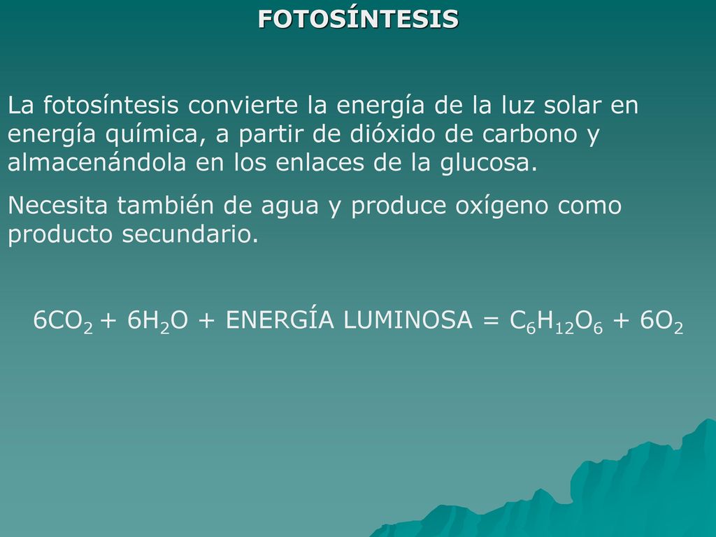 6CO2 + 6H2O + ENERGÍA LUMINOSA = C6H12O6 + 6O2