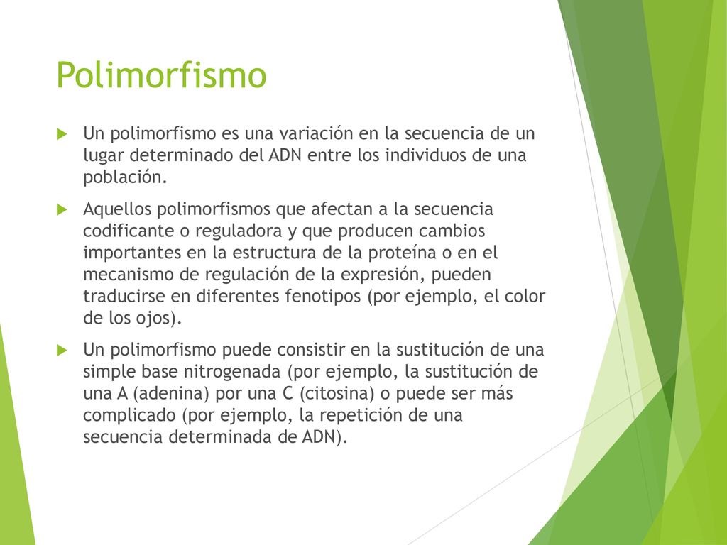 Polimorfismo Un polimorfismo es una variación en la secuencia de un lugar determinado del ADN entre los individuos de una población.