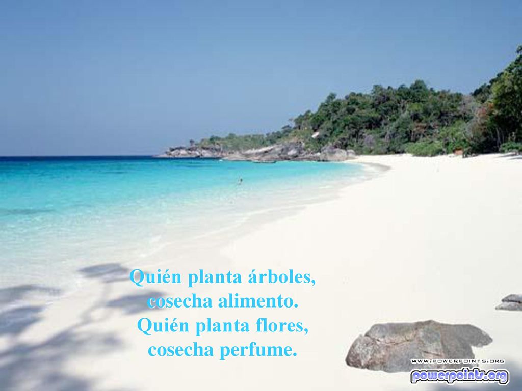 Quién planta árboles, cosecha alimento. Quién planta flores, cosecha perfume.