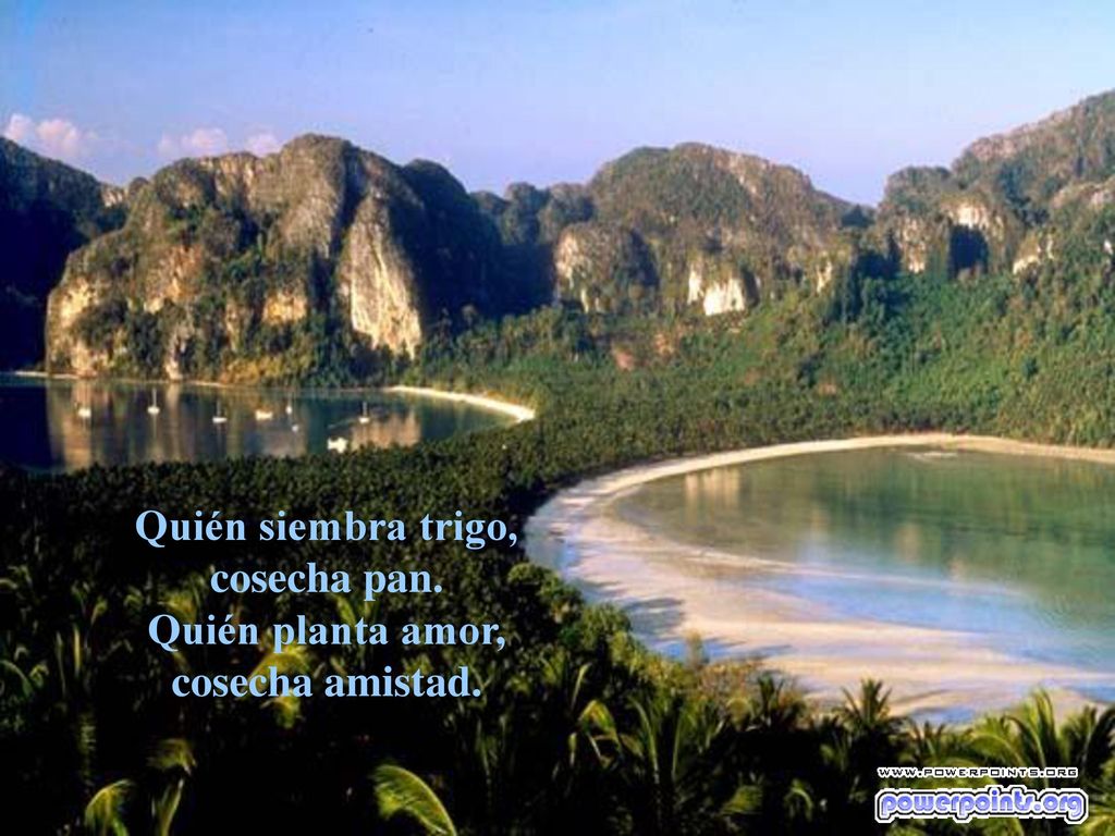 Quién siembra trigo, cosecha pan. Quién planta amor, cosecha amistad.