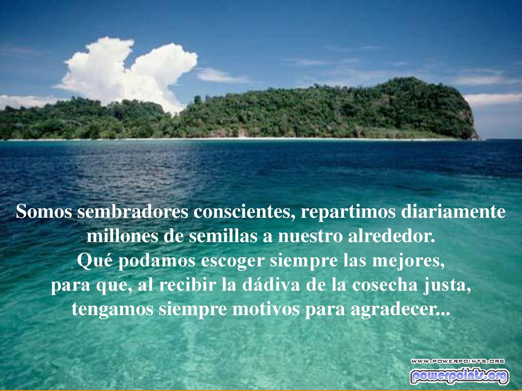 …... Somos sembradores conscientes, repartimos diariamente millones de semillas a nuestro alrededor.