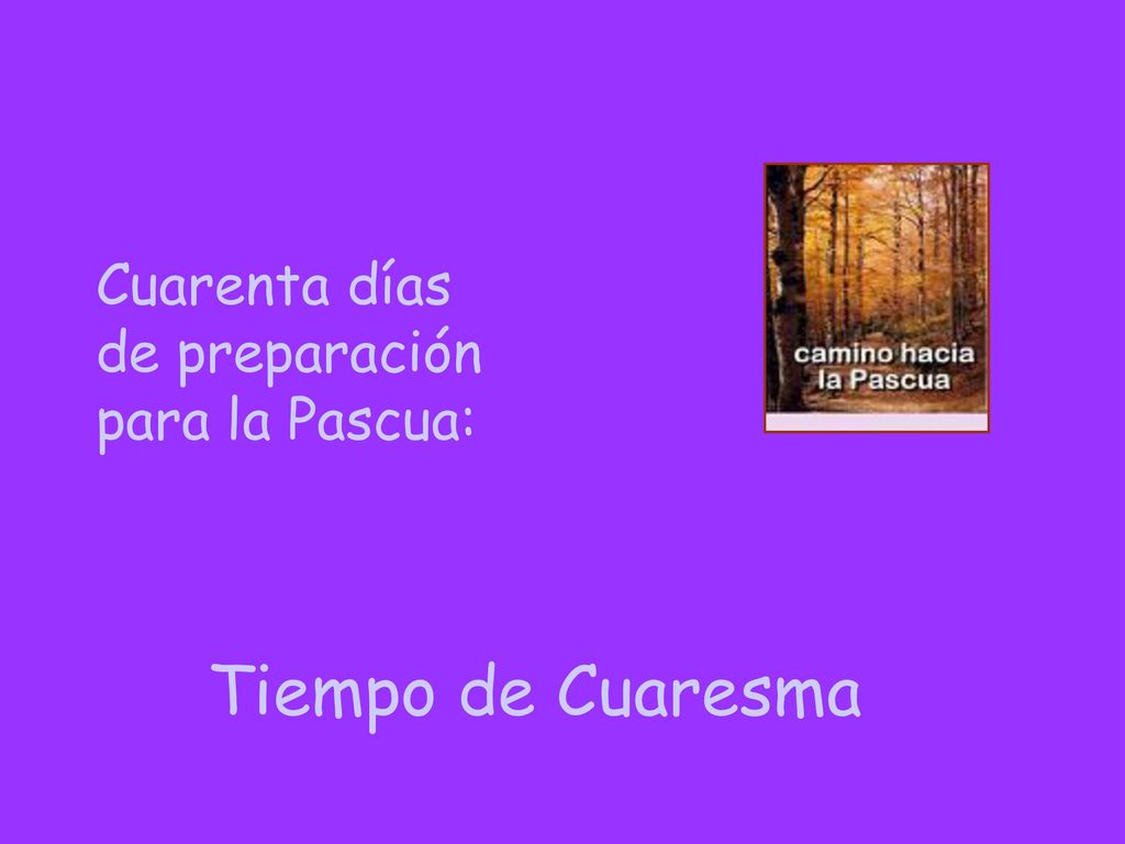 Cuarenta días de preparación para la Pascua: Tiempo de Cuaresma