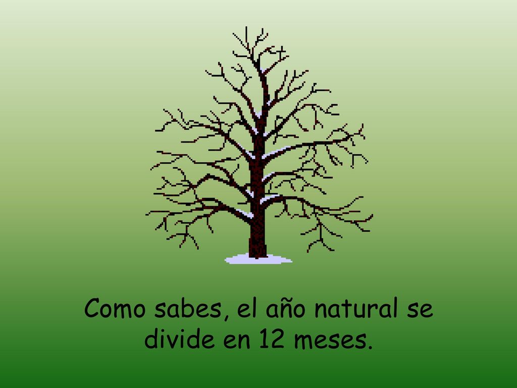 Como sabes, el año natural se divide en 12 meses.