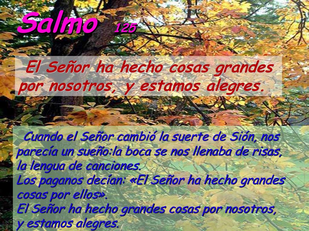Salmo 125 El Señor ha hecho cosas grandes por nosotros, y estamos alegres.