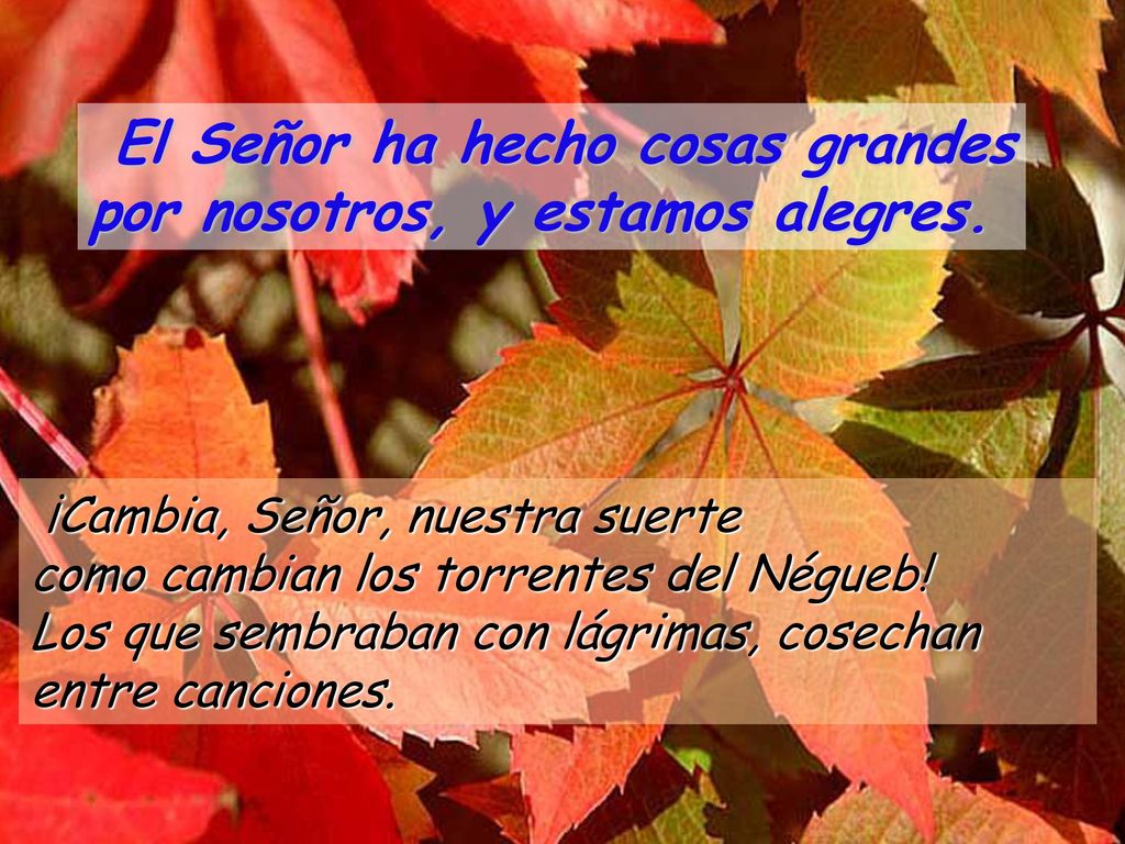 El Señor ha hecho cosas grandes por nosotros, y estamos alegres.