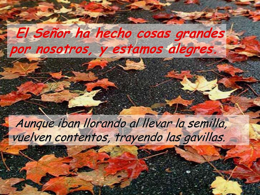 El Señor ha hecho cosas grandes por nosotros, y estamos alegres.