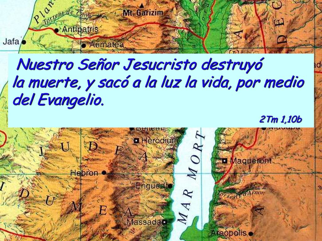 Nuestro Señor Jesucristo destruyó la muerte, y sacó a la luz la vida, por medio del Evangelio.