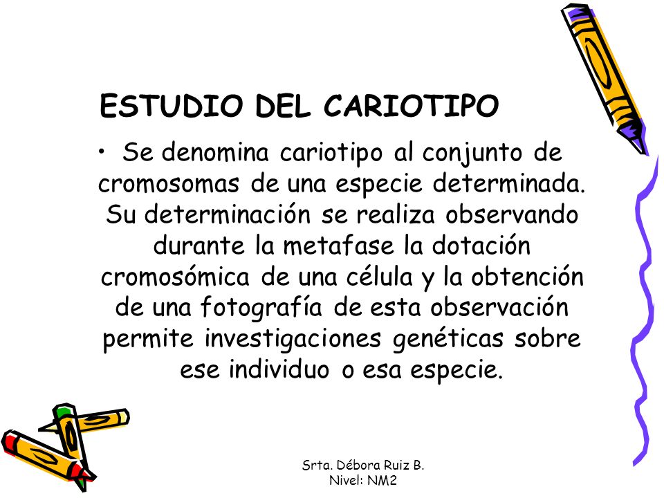 Srta. Débora Ruiz B. Nivel: NM2