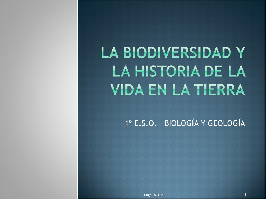 LA BIODIVERSIDAD Y LA HISTORIA DE LA VIDA EN LA TIERRA