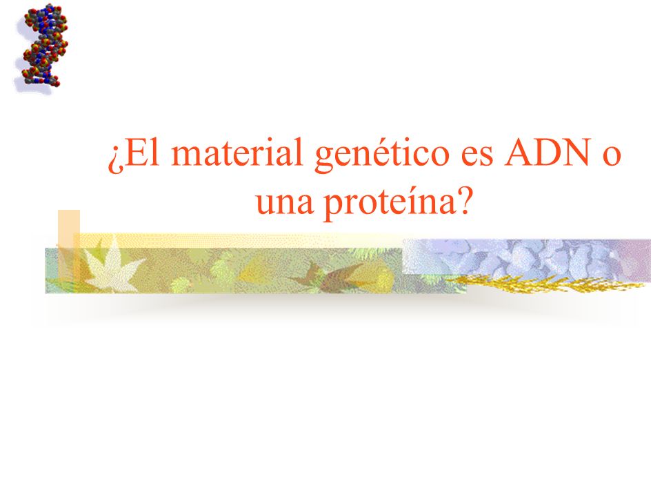 ¿El material genético es ADN o una proteína