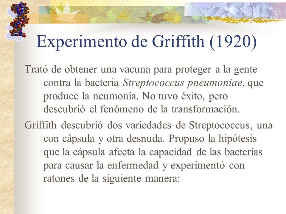 Experimento de Griffith (1920)
