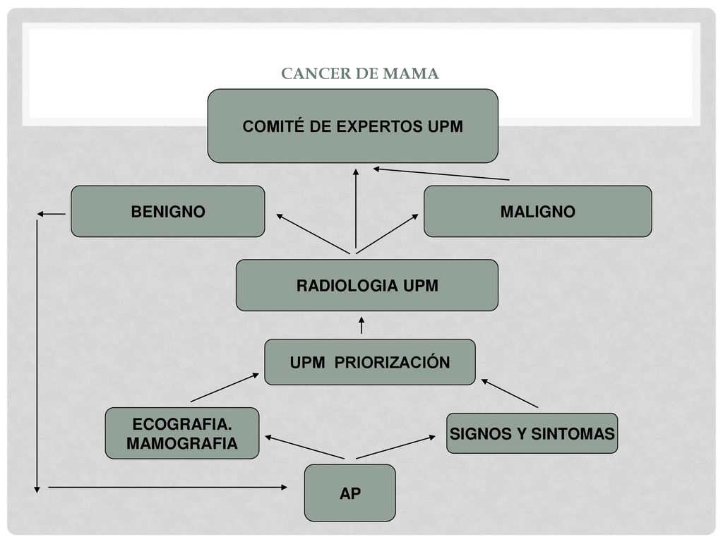 CANCER DE MAMA COMITÉ DE EXPERTOS UPM. BENIGNO. MALIGNO. RADIOLOGIA UPM. UPM PRIORIZACIÓN. ECOGRAFIA.