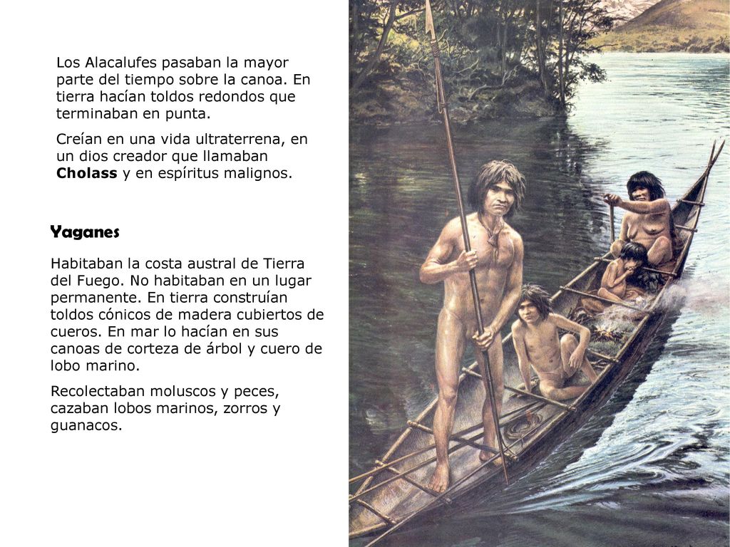 Los Alacalufes pasaban la mayor parte del tiempo sobre la canoa
