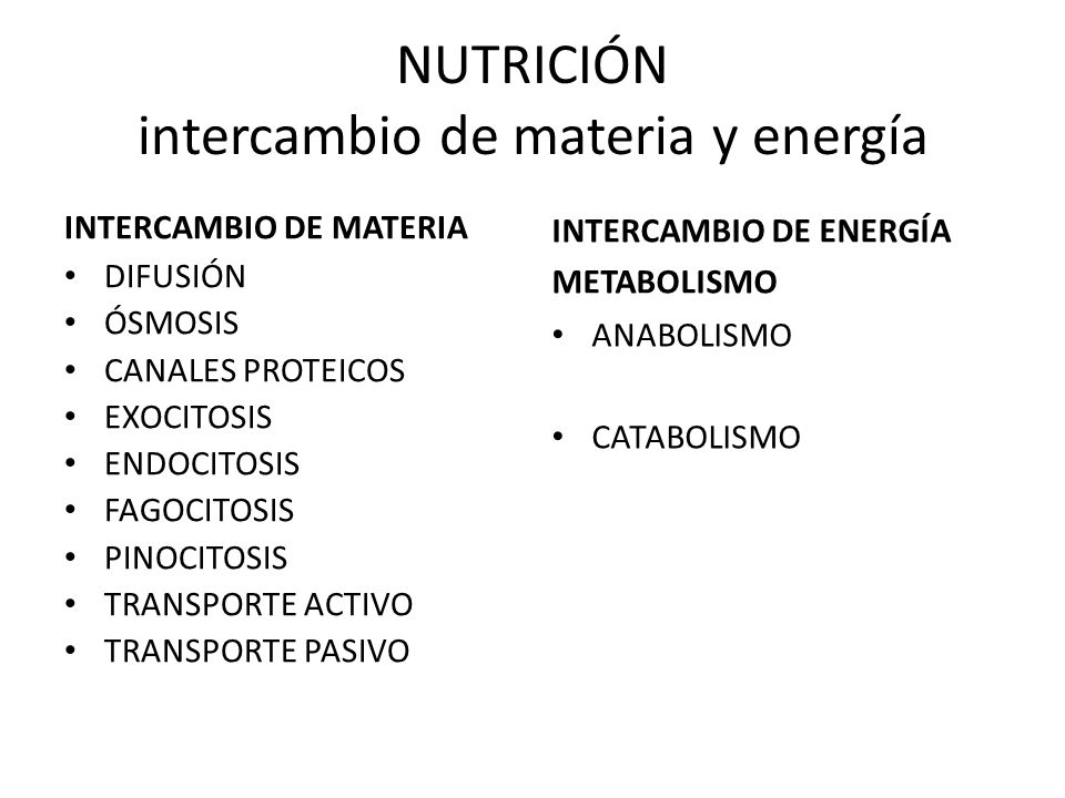 NUTRICIÓN intercambio de materia y energía
