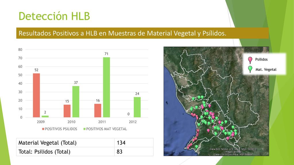 Detección HLB Resultados Positivos a HLB en Muestras de Material Vegetal y Psílidos. Psilidos. Mat. Vegetal.