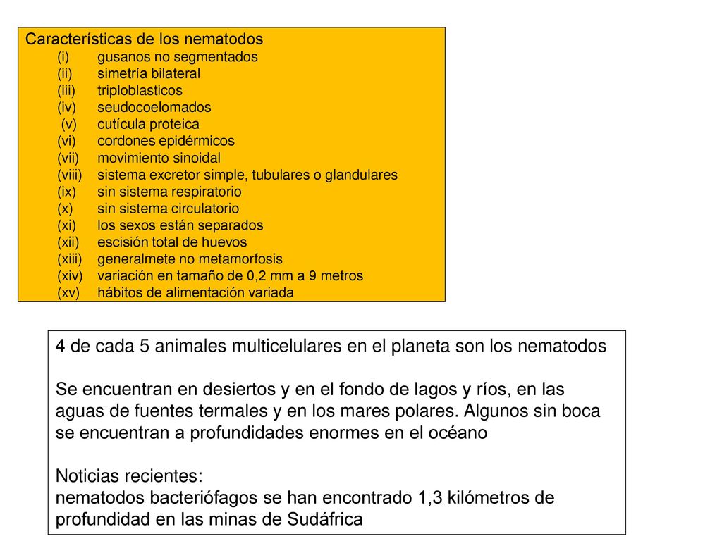 4 de cada 5 animales multicelulares en el planeta son los nematodos
