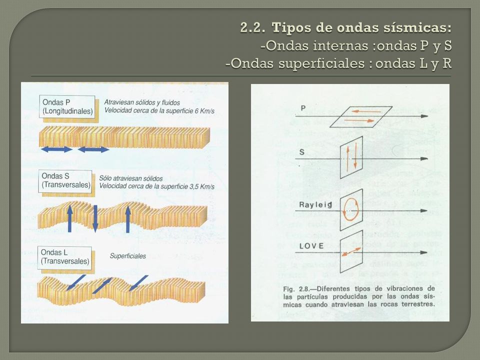 2.2. Tipos de ondas sísmicas: -Ondas internas :ondas P y S -Ondas superficiales : ondas L y R