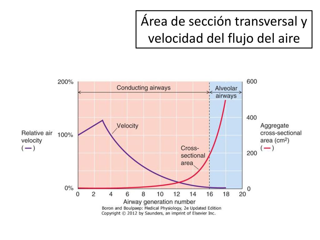 Área de sección transversal y velocidad del flujo del aire