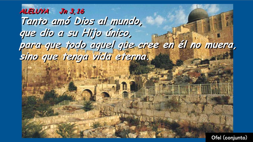 ALELUYA Jn 3,16 Tanto amó Dios al mundo, que dio a su Hijo único, para que todo aquel que cree en él no muera, sino que tenga vida eterna.
