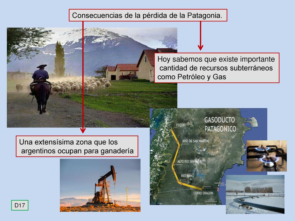 Consecuencias de la pérdida de la Patagonia.