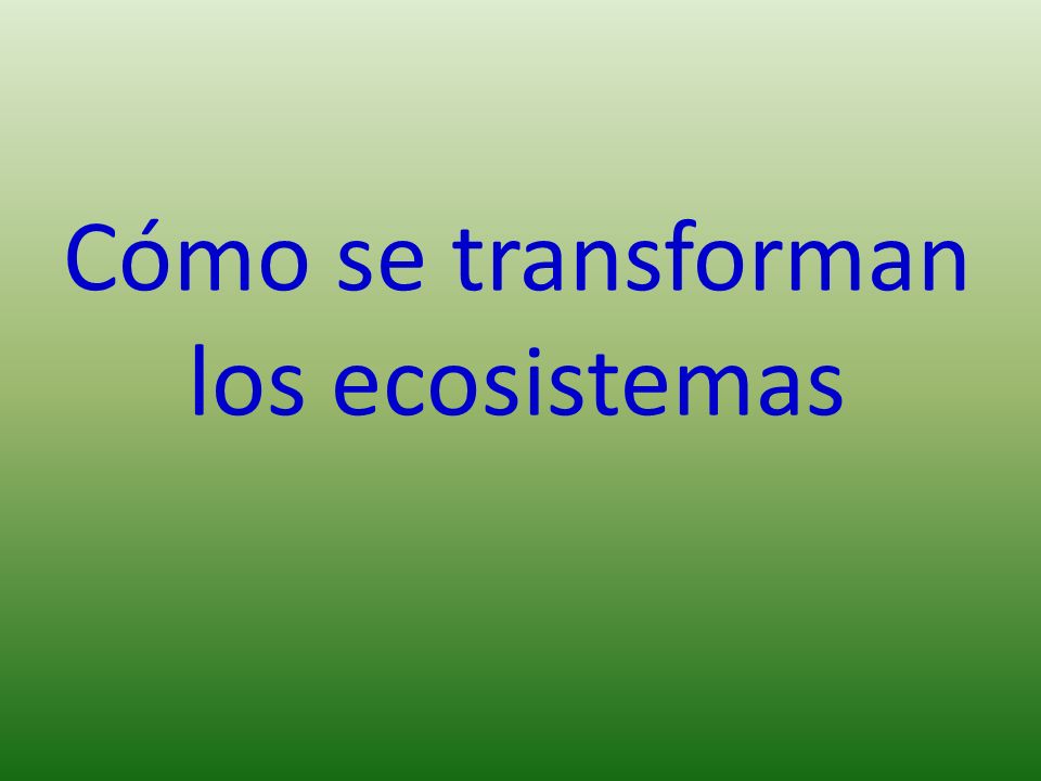 Cómo se transforman los ecosistemas