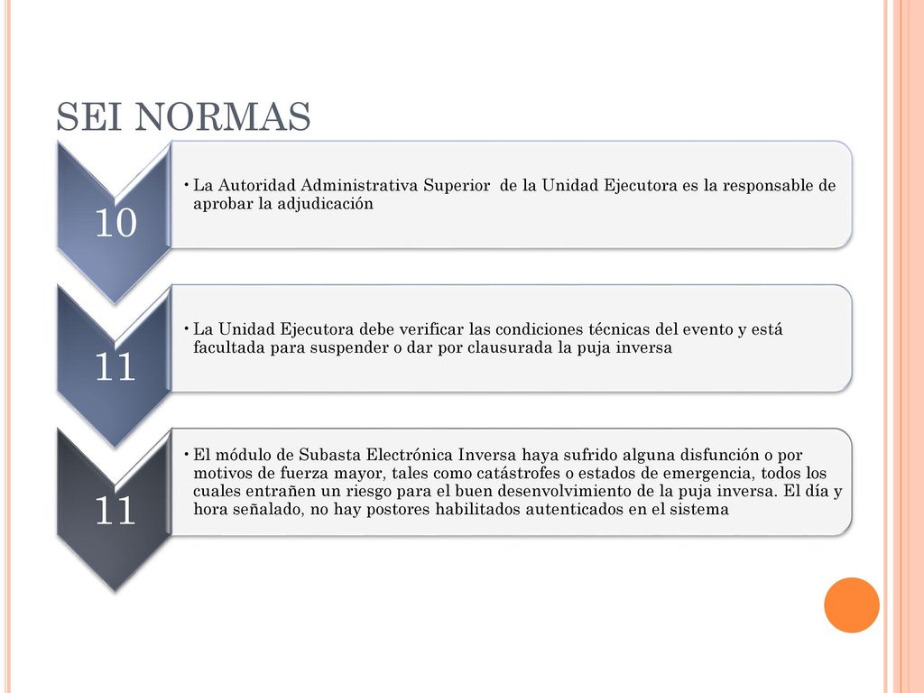 SEI NORMAS 10. La Autoridad Administrativa Superior de la Unidad Ejecutora es la responsable de aprobar la adjudicación.