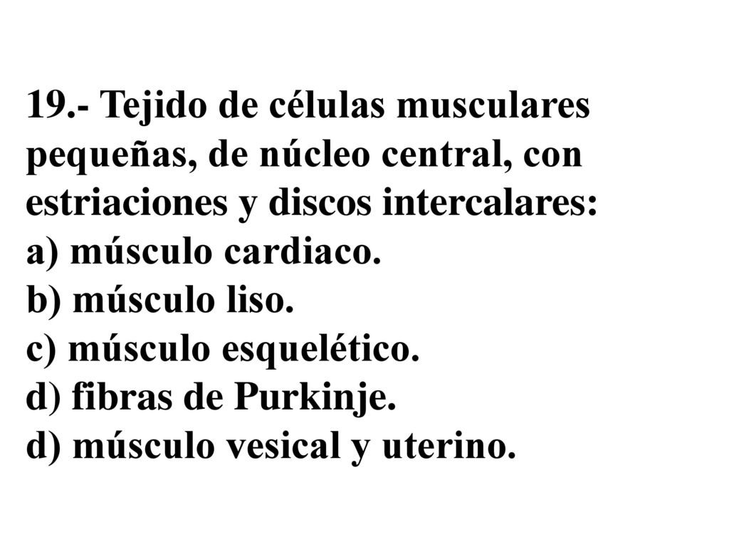 19.- Tejido de células musculares pequeñas, de núcleo central, con estriaciones y discos intercalares: a) músculo cardiaco.