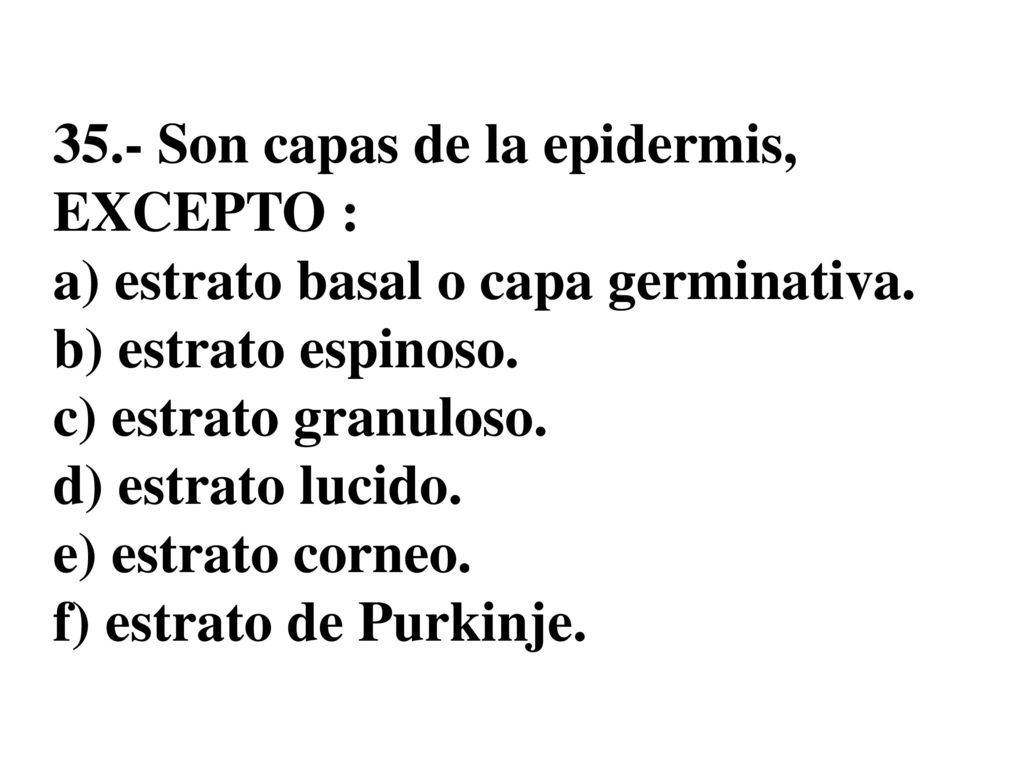 35.- Son capas de la epidermis, EXCEPTO : a) estrato basal o capa germinativa.