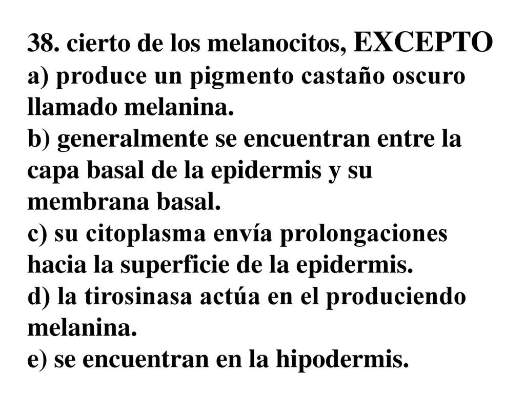 38. cierto de los melanocitos, EXCEPTO a) produce un pigmento castaño oscuro llamado melanina.
