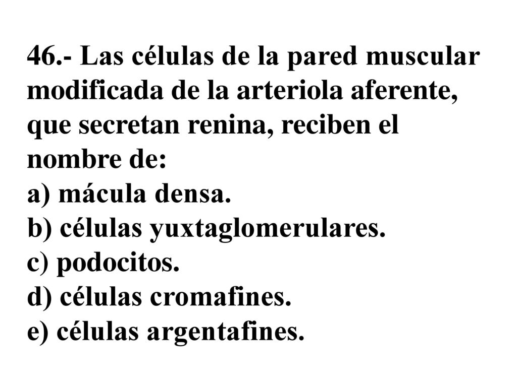 46.- Las células de la pared muscular modificada de la arteriola aferente, que secretan renina, reciben el nombre de: a) mácula densa.